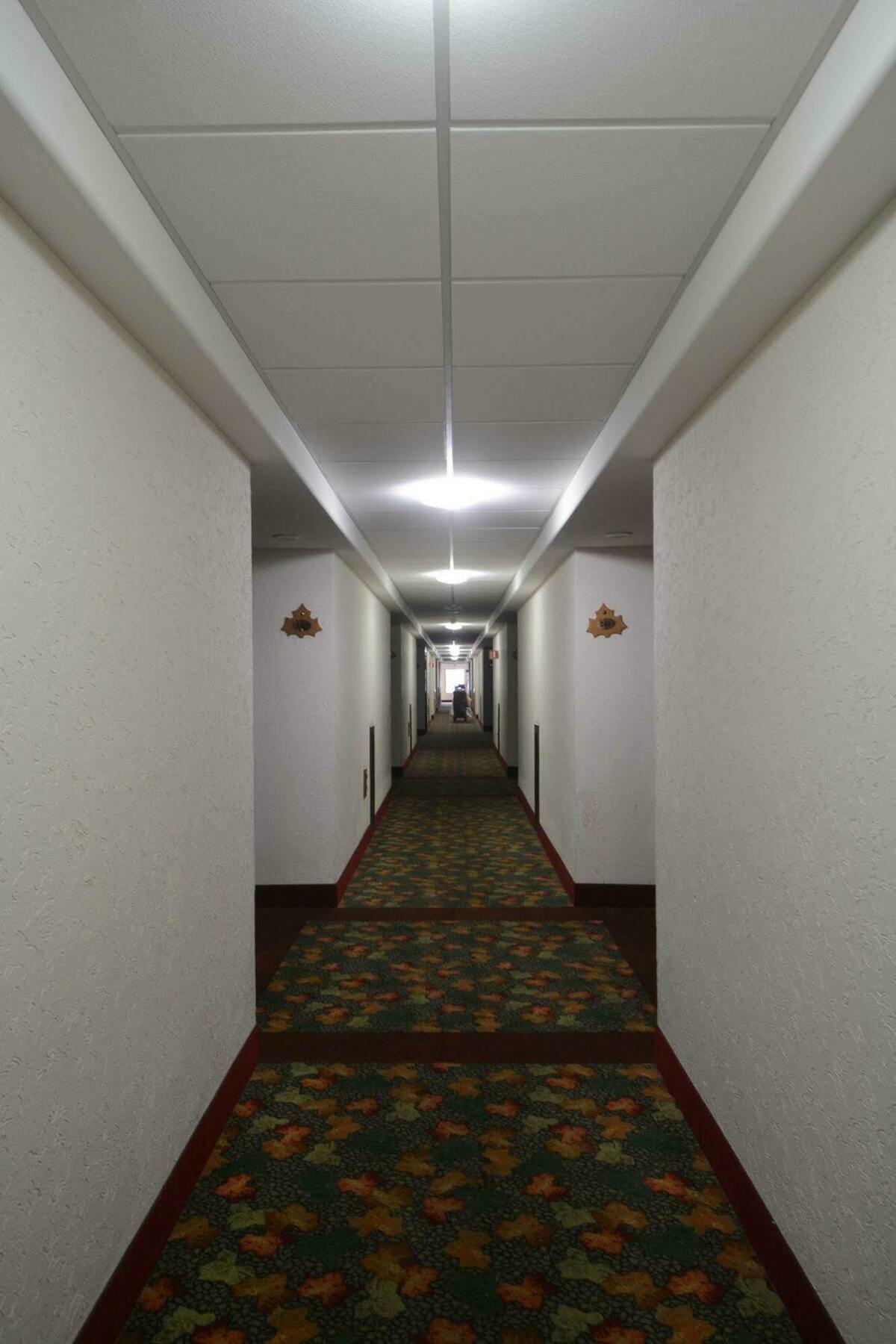 Hotel Sicomoro Chihuahua Kültér fotó